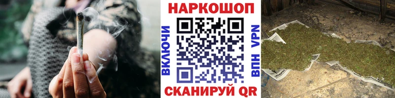 Бошки Шишки Гвардейск