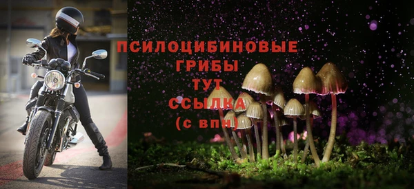 гашик Протвино