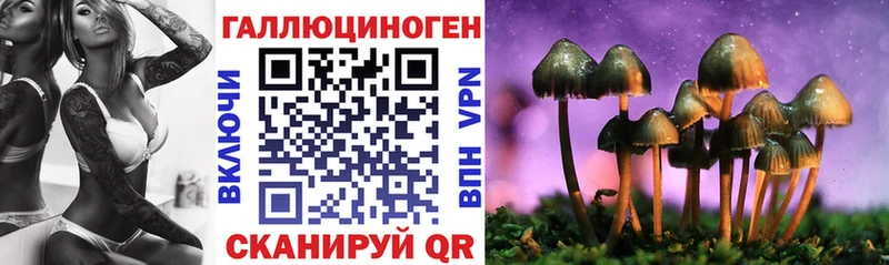 блэк спрут ссылки  где купить наркотик  Гвардейск  Псилоцибиновые грибы Magic Shrooms 