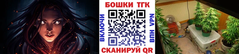 Шишки марихуана план Гвардейск